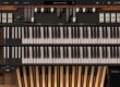 Organo Hammond B3-X