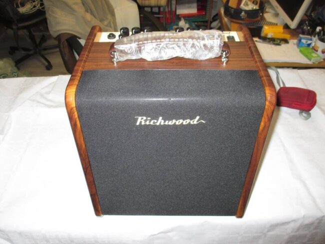 amplificatore richwood chitarra acustica nuovo