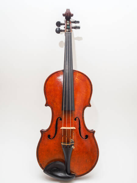 violino liuteria boema