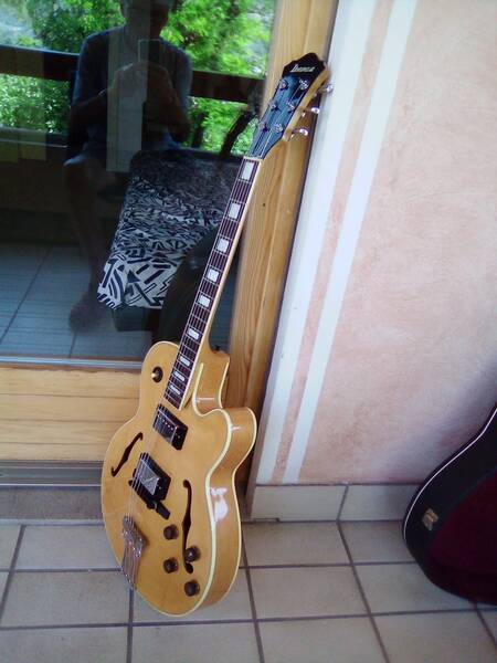 chitarra semiacustica ibanez fg100nt