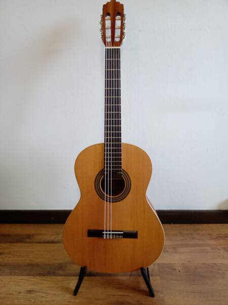 chitarra classica altamira con custodia