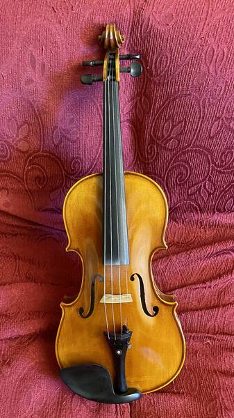 splendido violino di liuteria 4/4 (no etichetta)