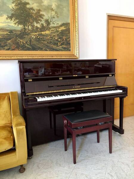 pianoforte verticale steiner in perfetto stato con panchetta