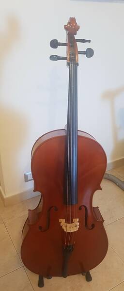 violoncello 4/4 uso scolastico