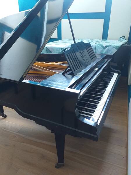 vendo pianoforte mezza coda