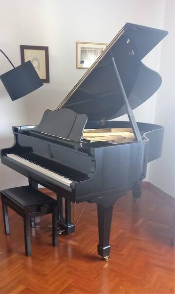 vendo pianoforte mezza coda