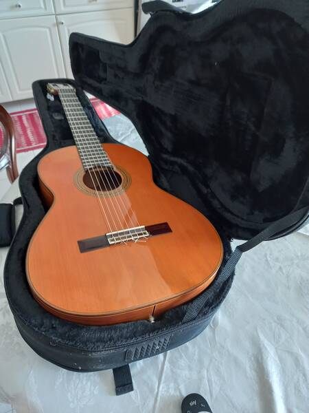 chitarra classica esteva mod 5 amplificata con sistema perlucens