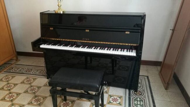 vendo pianoforte verticale petrof seminuovo usato pochissimo