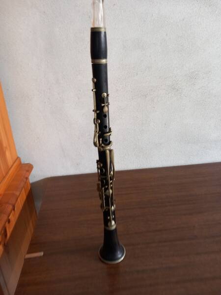 vendo clarinetto