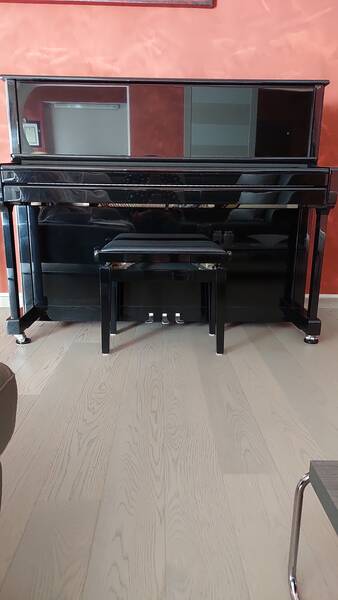 vendesi pianoforte ritmuller