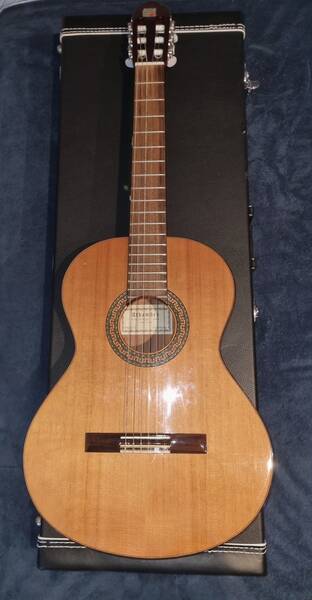 chitarra classica alhambra 3c