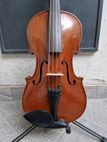 viola tedesca mis38 5