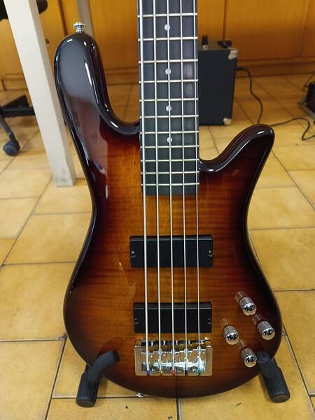 basso spector legend 5 standard