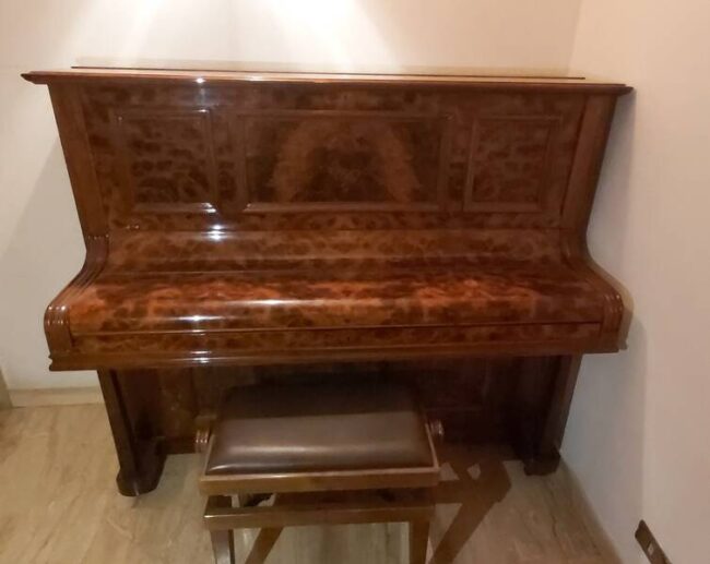 pianoforte in radica hoffman