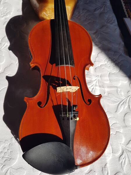 violino liuteria