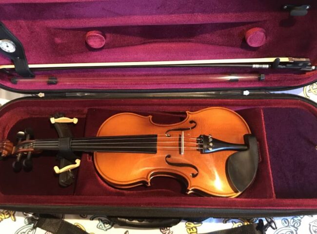 violino reghin 4/4