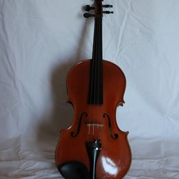 vendesi viola gastaldi