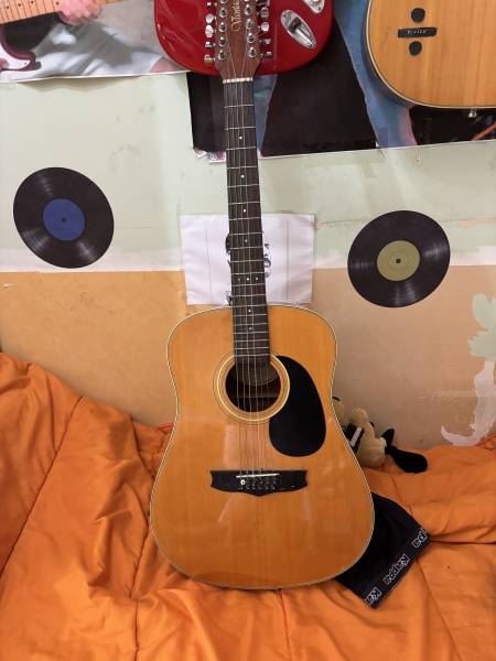 chitarra acustica a 6 o 12 corde