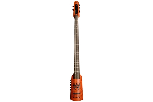 ns design cr5 omni bass 5 corde - fretted