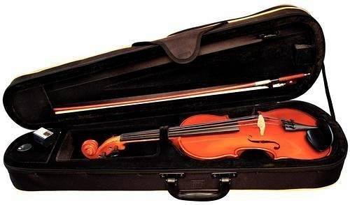 alysee vn30 violino 4/4 in ebano con archetto e astuccio