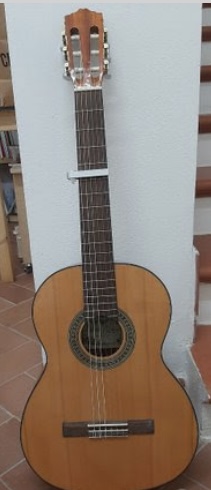 chitarra usata salvador cortez cc -10 in vendita