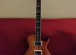 paul reed smith se mccarty 594 singlecut