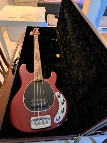 chitarra basso ernie ball music man stingray