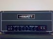 hiwatt ss d103 david gilmour signature