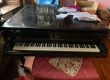 vendo pianoforte blüthner