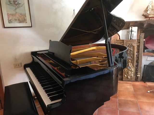 pianoforte 3/4 di coda