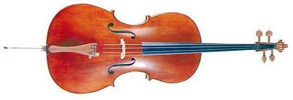 oqan oc300 14   violoncello laminato