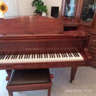 vendo pianoforte a coda