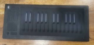 roli seaboard rise 25