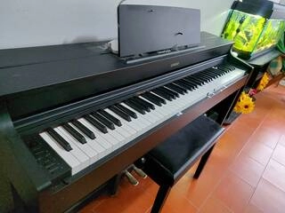 vendita casio ap 470