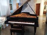 pianoforte bechstein model d