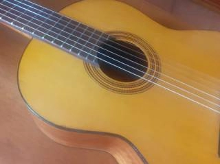 chitarra classica italiana clarissa p 30 by polverini legg trattabile