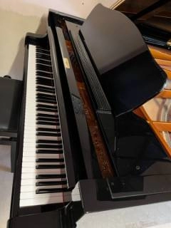 pianoforte a coda