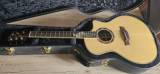 chitarra-crafter-rose-plus-amplificata