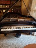 pianoforte-12-coda-185-cm