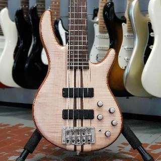 cort - artisan a5 + bass - spedizione gratis