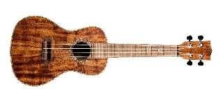 kala ka-sa-c ukulele concerto solid acacia con borsa