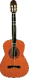 eko-cs-5-chitarra-34